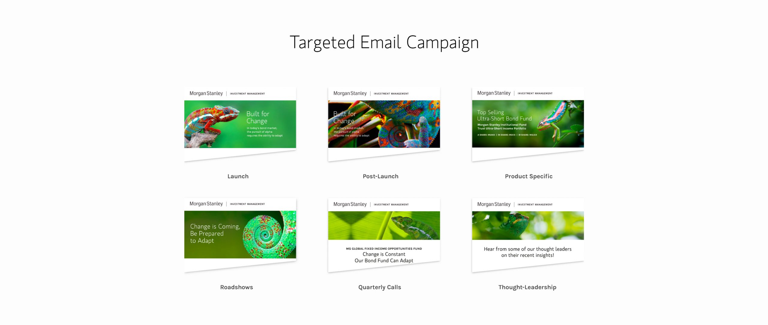 targeted email campaign